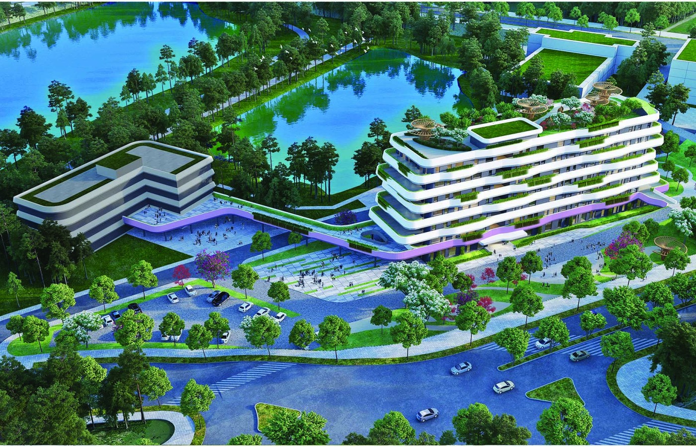 ĐẠI HỌC QUỐC TẾ BÌNH DƯƠNG